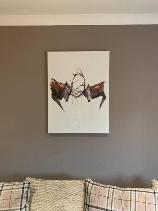 In The Heart Of Apartment *